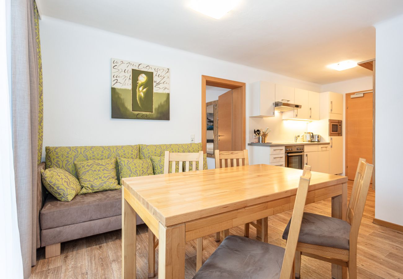  Ferienwohnung Appartements Hollin in Saalbach by we rent apartments