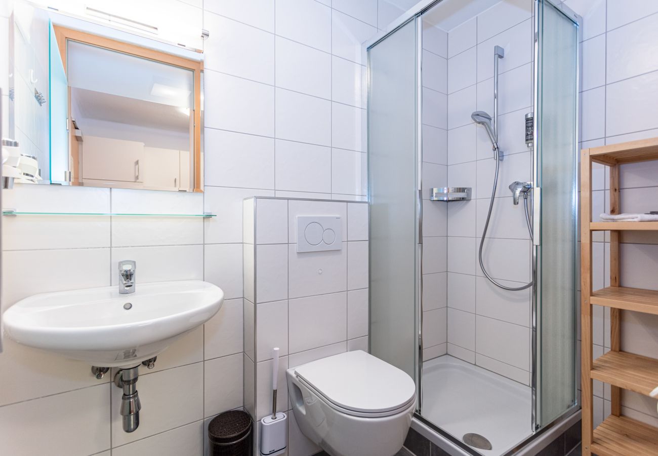 Ferienwohnung in Saalbach - Appartements Hollin - Top 1
