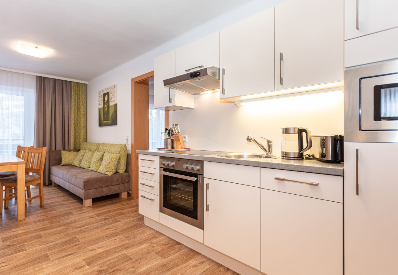 Ferienwohnung in Saalbach - Appartements Hollin - Top 1