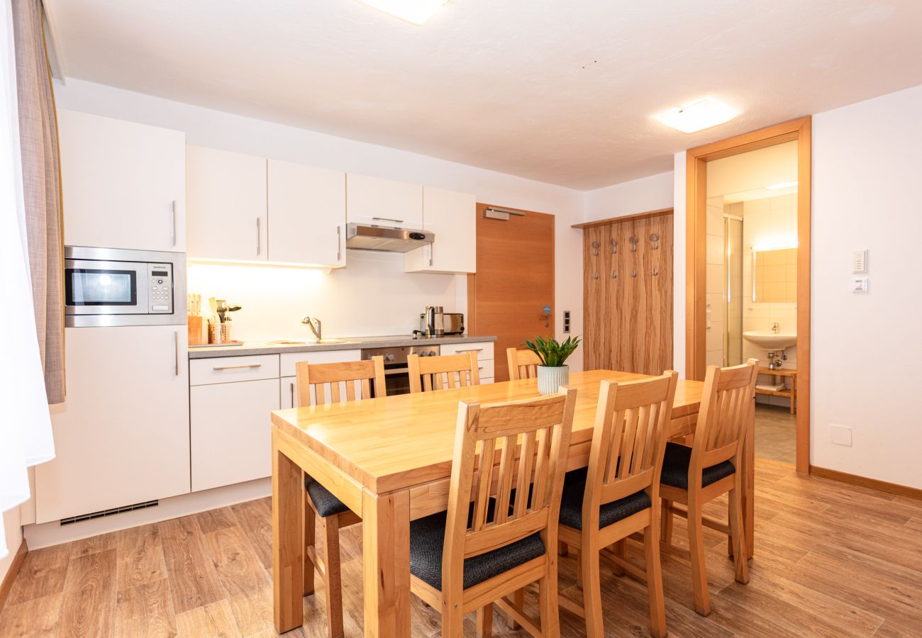  Ferienwohnung Appartements Hollin in Saalbach by we rent apartments
